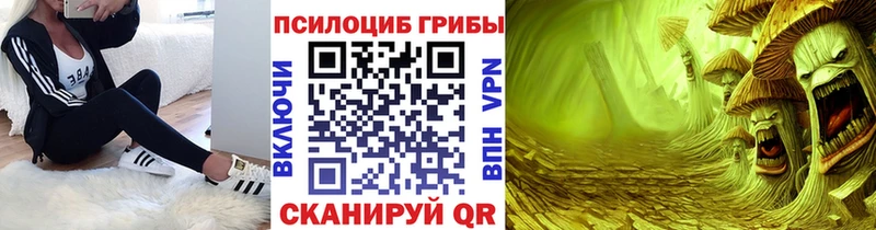 Галлюциногенные грибы Cubensis  где можно купить   Вязники 